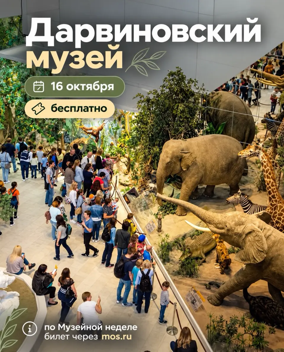 Бесплатный день в Дарвиновском музее, изображение 1