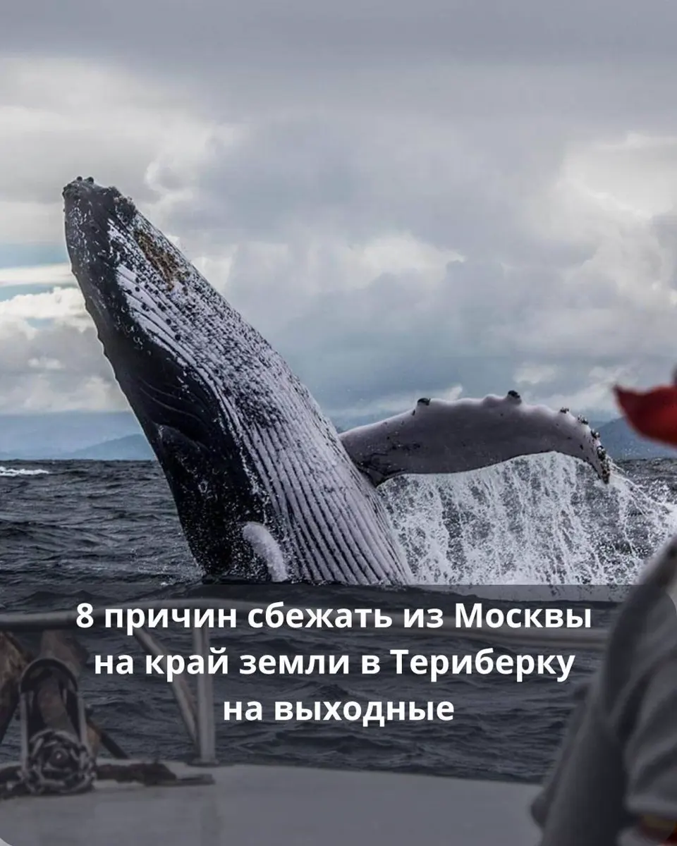 3-дневный авторский тур в Териберку на край земли с 28-30 августа и 25-27 сентября