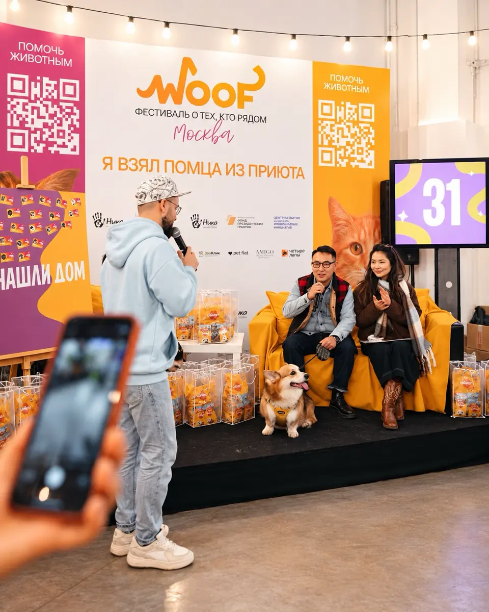 WOOF FEST — фестиваль кошек и собак из приютов, изображение 4