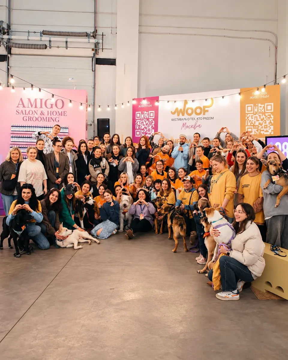 WOOF FEST — фестиваль кошек и собак из приютов, изображение 6