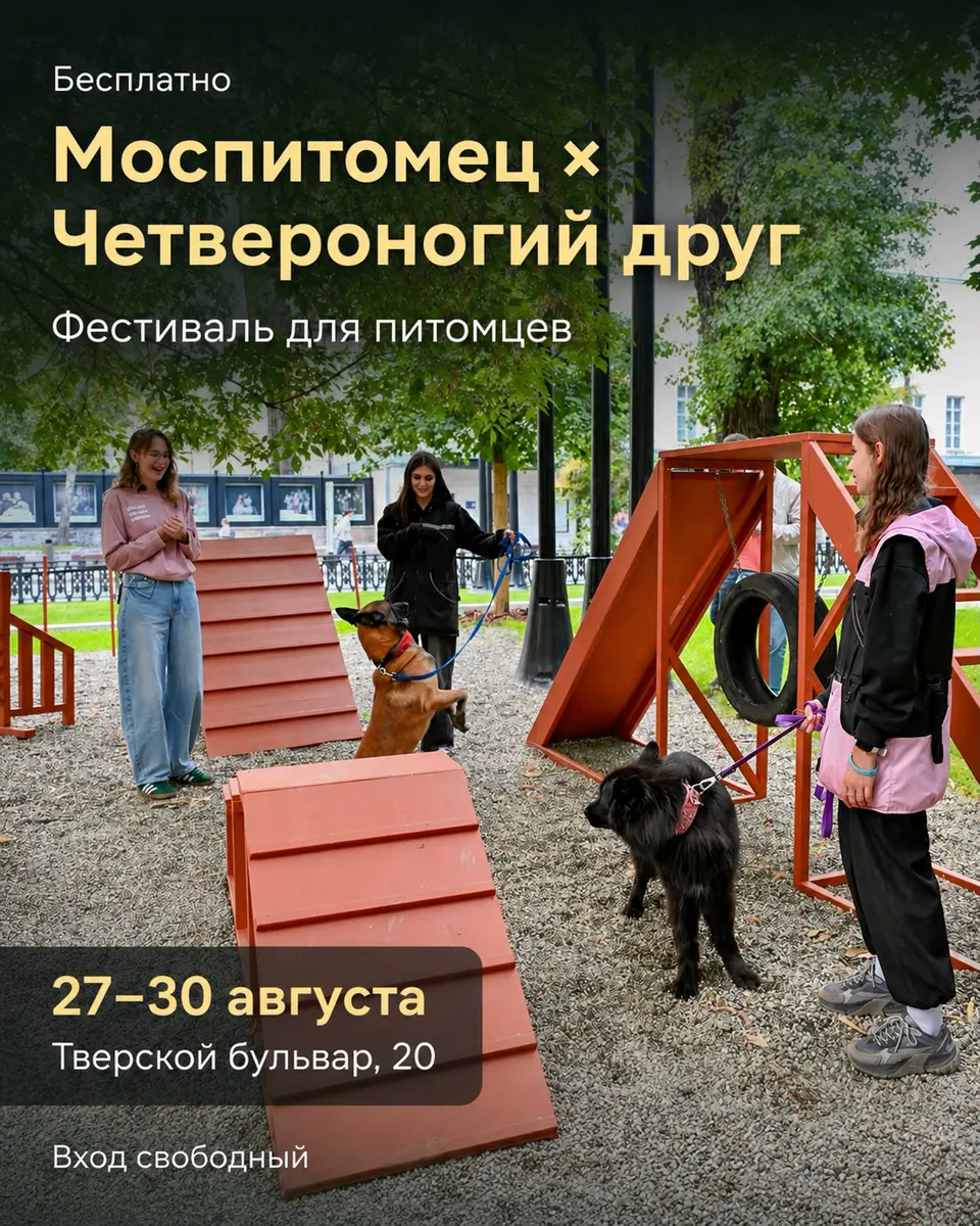 Фестиваль «Моспитомец × Четвероногий друг», изображение 1